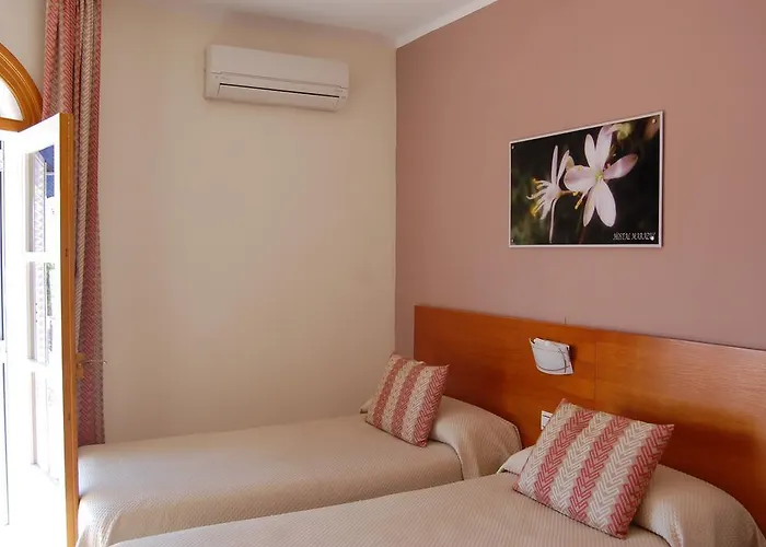 Marazul Albergue Nerja